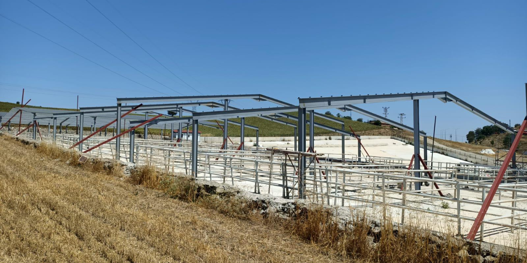 Havza Belediyesi Hayvan Pazarı