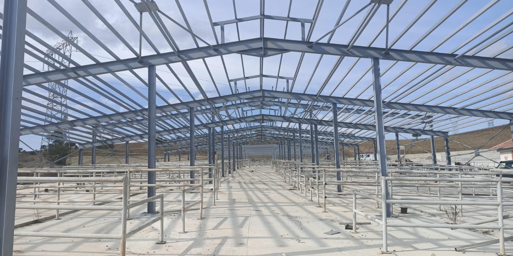 Havza Belediyesi Hayvan Pazarı