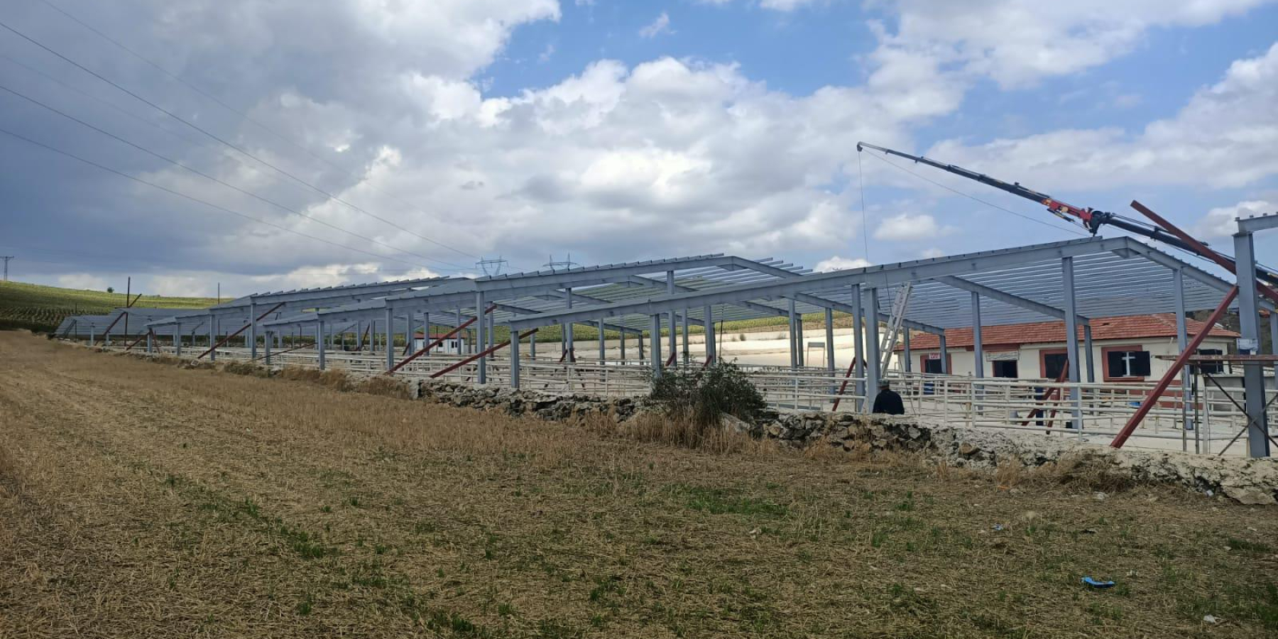 Havza Belediyesi Hayvan Pazarı